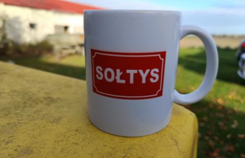 Sołtys w butach radnego, a sołectwa czwartym szczeblem administracji