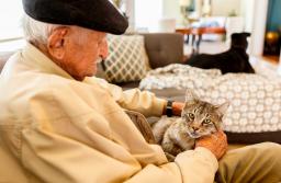 ZUS: Duże zainteresowanie rentą wdowią w lipcu