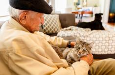 ZUS: Duże zainteresowanie rentą wdowią w lipcu