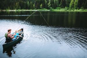 Gmina sprzedaje działkę ze stawem w przetargu, sąd podważa działanie wójta