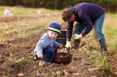 Cyfrowa ewidencja fikcją, a papierowa alternatywa wymaga przepisów