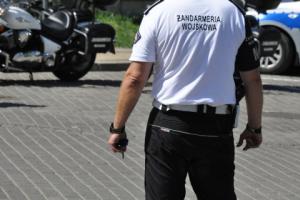 Katastrofa F-16 w Radomiu - rusza śledztwo ws. przyczyn tragedii