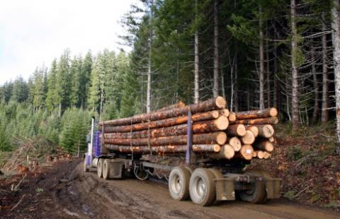 Zmiany dotyczące drewna energetycznego już obowiązują