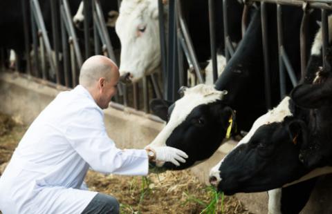 Będzie amnestia dla zużywających duże ilości wody