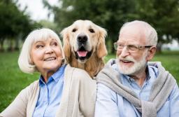 Będzie ustawa o klubach seniora i pieniądze dla chętnych