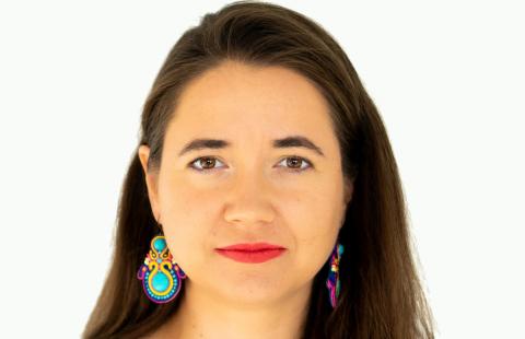 Prof. Sękowska-Kozłowska: Brak systemowych rozwiązań chroniących ofiary przemocy ze względu na płeć