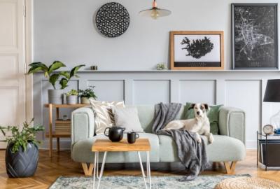 Szczekający pies sąsiada – Ministerstwo Klimatu: to nie nasza sprawa