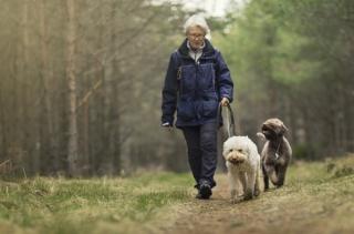 Podatek od psa w odwrocie, ale ministerstwo finansów nie widzi potrzeby zmian