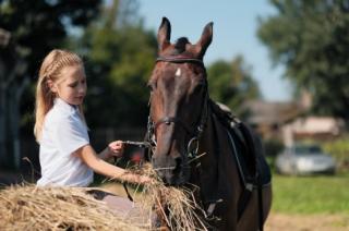 Pensjonat dla koni a zwolnienie z VAT