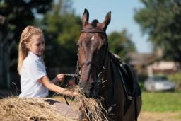 Pensjonat dla koni a zwolnienie z VAT