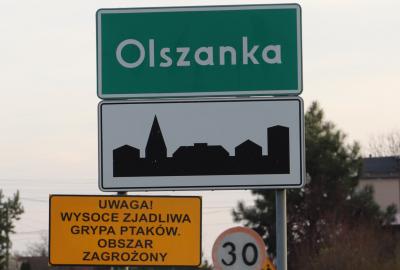 Trwa cicha epidemia ptasiej grypy