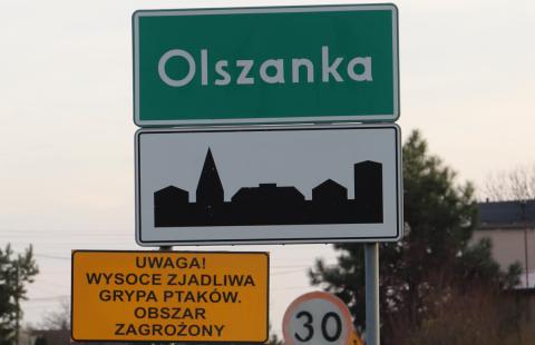 Trwa cicha epidemia ptasiej grypy