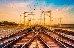 Drzewa będą dalej odsunięte od linii kolejowych