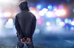 SN: Niewykonalny wyrok sądu dla wandala