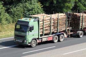 Ciężki sprzęt, lekkie wsparcie - Lasy za mało wykładają na drogi