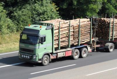 Ciężki sprzęt, lekkie wsparcie - Lasy za mało wykładają na drogi