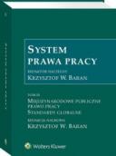 System Prawa Pracy. TOM IX. Międzynarodowe publiczne prawo pracy. Standardy globalne ebook
