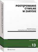 Postępowanie cywilne w zarysie ebook