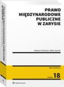Prawo międzynarodowe publiczne w zarysie ebook