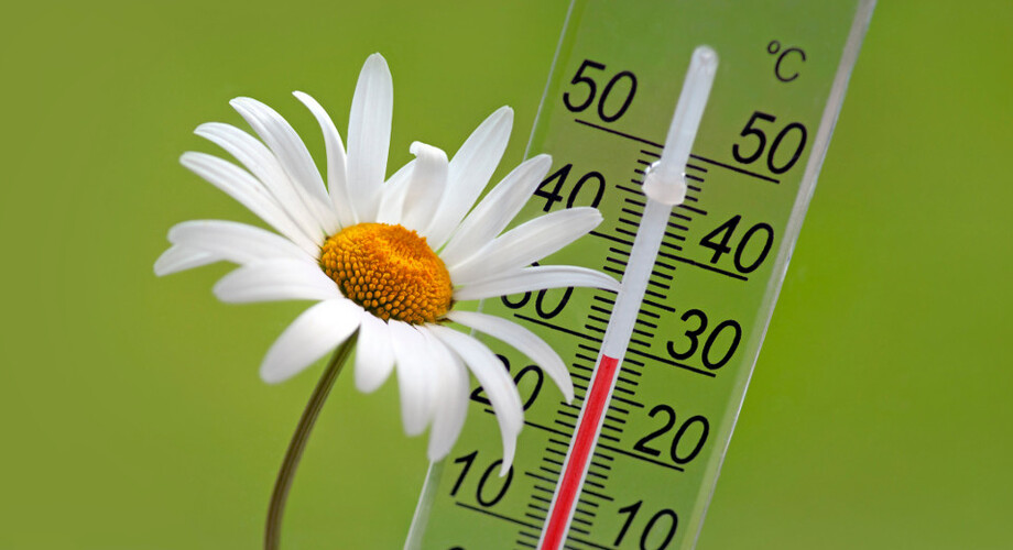 Datę wyborów samorządowych poznamy w wakacje