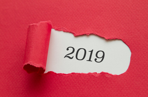 rok 2019