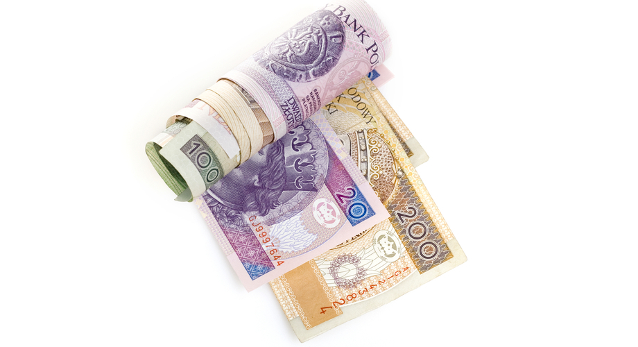 WSA: Dieta nie przysługuje wyłącznie z racji pełnienia funkcji