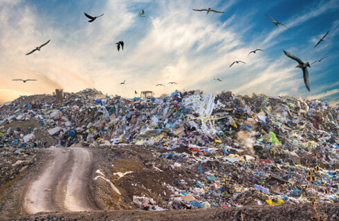 W niektórych regionach odpady na wagę złota