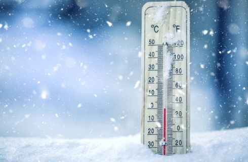 Za trzymanie psa na mrozie można trafić za kratki