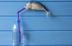 butelki plastikowe smieci