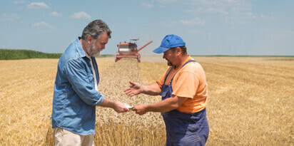 pole ziemia rolnik kupno sprzedaz