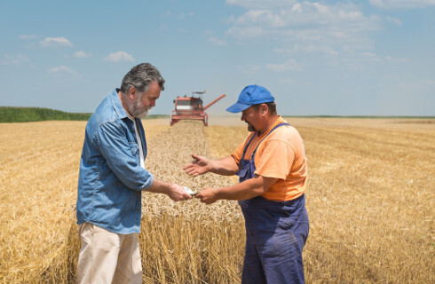 Rolnicy zarobią więcej bez podatku