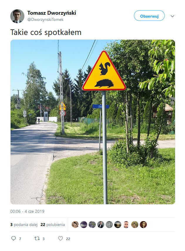 Wiewiórka i jeż na ostrzegawczym znaku drogowym