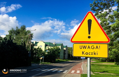 Uwaga kaczki - znak ostrzegawczy