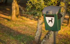 pies wlasciciel sprzatanie kupa