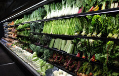 warzywa salata koper buraki 000001