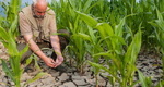 susza