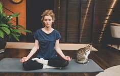 joga kobieta kot dom