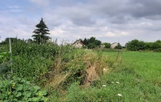 pole srodowisko trawa