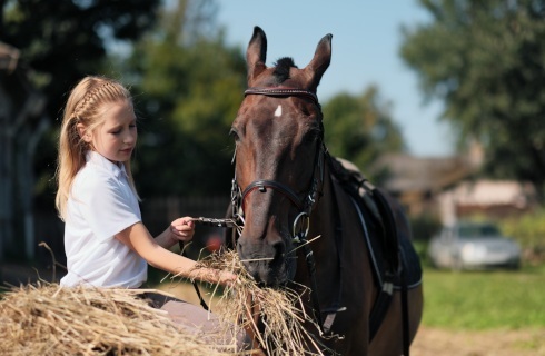Rolnik ryczałtowy, który prowadzi pensjonat dla koni, jest zwolniony z VAT