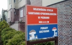 sanepid pis poznan grzyby