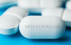koronowirus lek molnupiravir