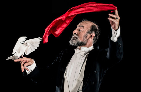 magik czarodziej golab