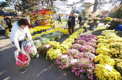 W dniu Wszystkich Świętych można dorobić nawet bez własnej działalności