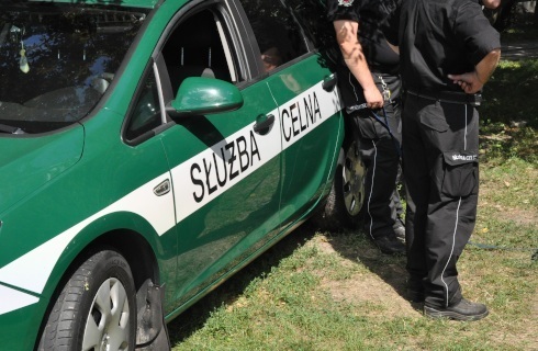 sluzba celna samochod