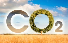 dwutlenek wegla emisja codwa