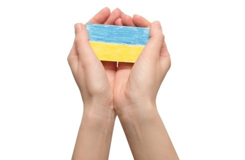ukraina flaga dlonie