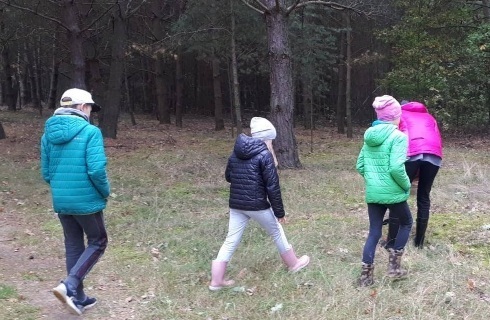 zbieranie chrustu w lesie