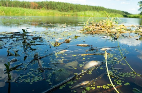 Rząd pracuje nad specustawą - jeszcze w tym roku planuje rozpocząć inwestycje na Odrze
