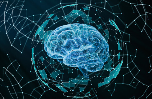 Istniejące organy nie wystarczą - Polska potrzebuje urzędu ds. sztucznej inteligencji