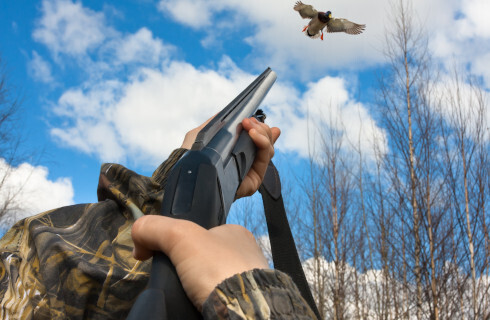Dziurawe sito nie wyłapie uzależnionego myśliwego i kolekcjonera broni